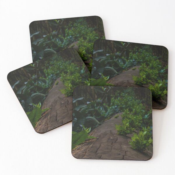 Item preview, Tree trunk expressway designed and sold by ChaosDuck.