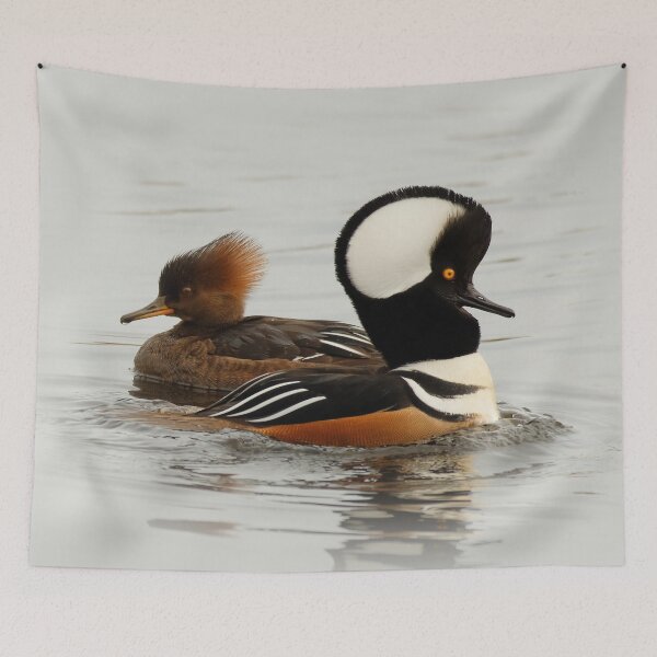 Item preview, A Pair of Hooded Merganser Ducks designed and sold by walkswithnature.
