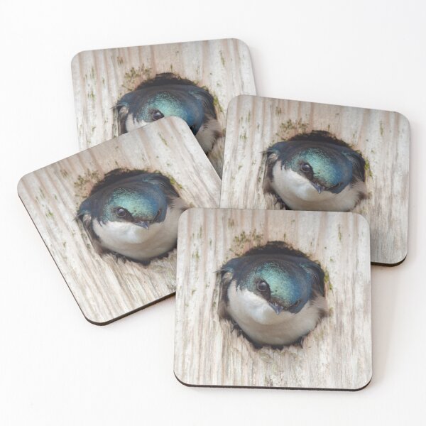 Item preview, Testy Tree Swallow in Nestbox designed and sold by walkswithnature.