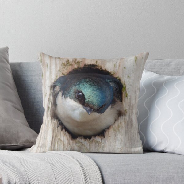 Item preview, Testy Tree Swallow in Nestbox designed and sold by walkswithnature.
