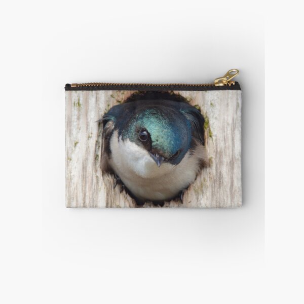 Item preview, Testy Tree Swallow in Nestbox designed and sold by walkswithnature.