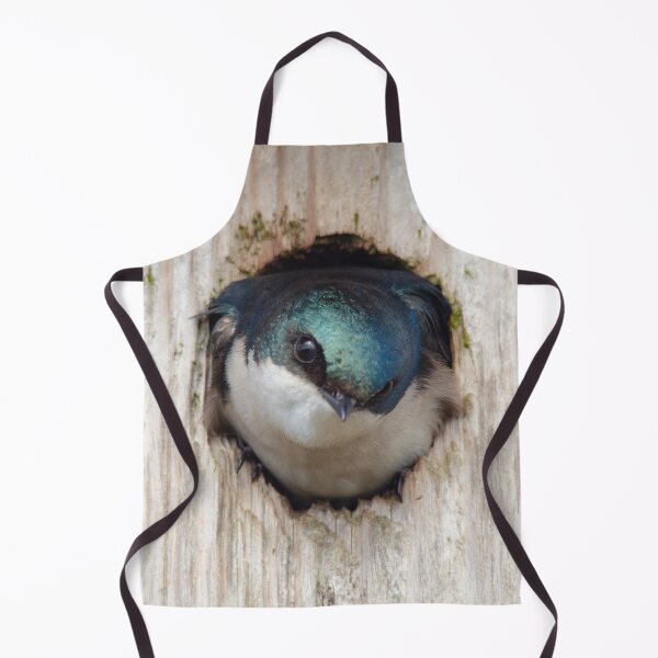 Item preview, Testy Tree Swallow in Nestbox designed and sold by walkswithnature.