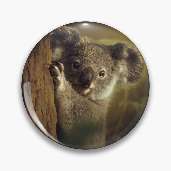 Item preview, Australian Koala Joey designed and sold by robdwildlife.