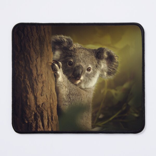 Item preview, Australian Koala Joey designed and sold by robdanimalphotography.