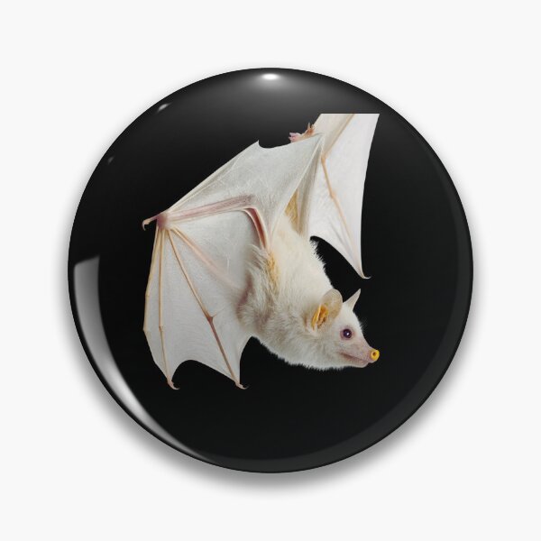 Item preview, Honduran White Bat | Mammal | Wild Paths | Nature | Central America | Tropical Rainforest | White | designed and sold by WildPaths.