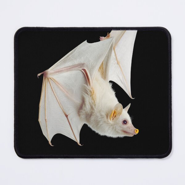 Item preview, Honduran White Bat | Mammal | Wild Paths | Nature | Central America | Tropical Rainforest | White | designed and sold by WildPaths.
