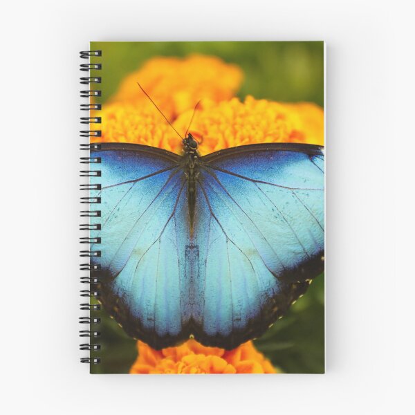 Item preview, Butterfly 24 - (c) ben yassa designed and sold by beny .