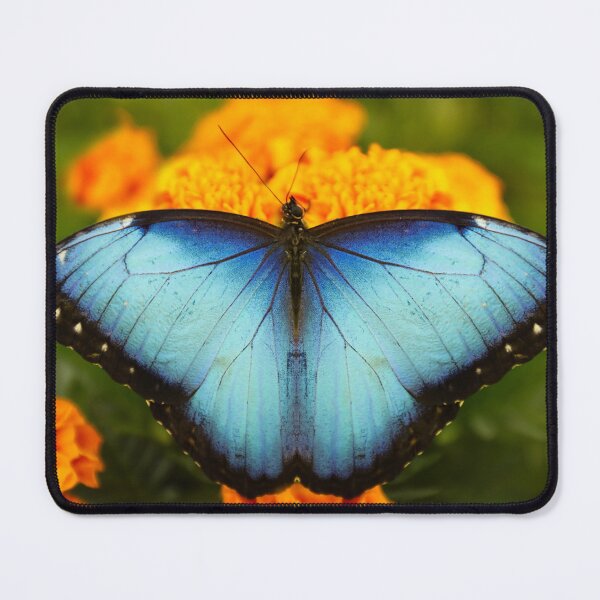 Item preview, Butterfly 24 - (c) ben yassa designed and sold by beny .