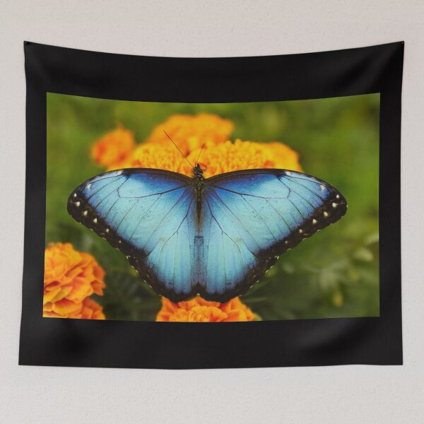 Item preview, Butterfly 24 - (c) ben yassa designed and sold by beny .