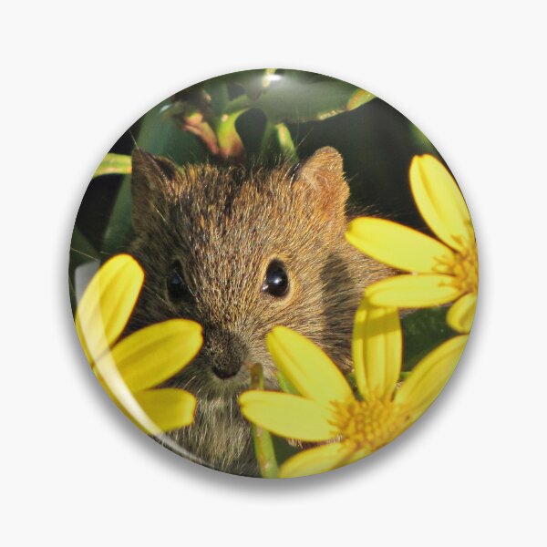 Item preview, Striped mouse peeking from a daisybush designed and sold by BiodiversityRocks.