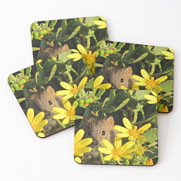 Item preview, Striped mouse peeking from a daisybush designed and sold by BiodiversityRocks.