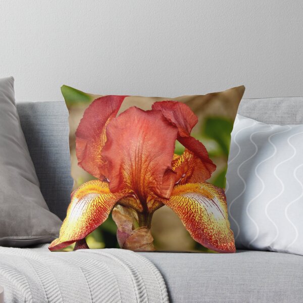 Item preview, Iris 'Kent Pride' (Tall Bearded Flag Iris) designed and sold by AnnDixon.