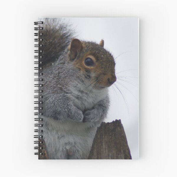 Item preview, Oh So Cold designed and sold by Lorelle Gromus.