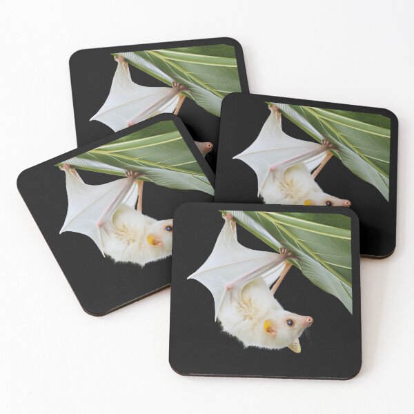 Item preview, Honduran White Bat on leaf | Mammal | Wild Paths | Nature | Central America | Tropical Rainforest | White | designed and sold by WildPaths.