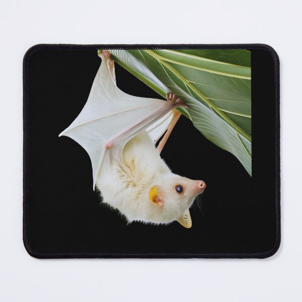 Item preview, Honduran White Bat on leaf | Mammal | Wild Paths | Nature | Central America | Tropical Rainforest | White | designed and sold by WildPaths.