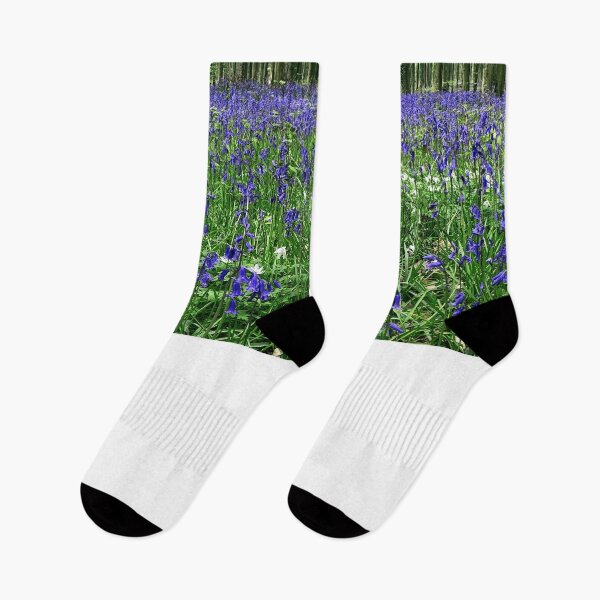 Item preview, Bluebell woods in Sussex, England designed and sold by Foundry88.