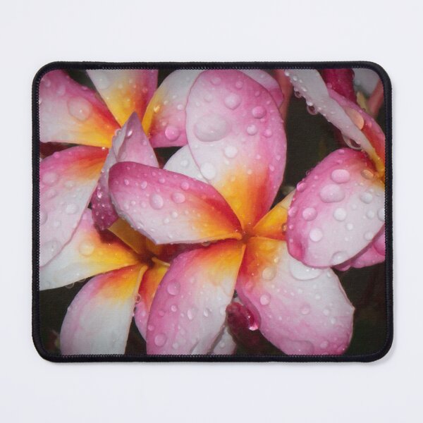 Item preview, Frangipani art - digital art from my photo designed and sold by Ozjanette90.