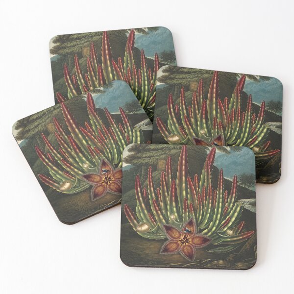 Item preview, Vintage Flora Illustration Maggot–Bearing Stapelia designed and sold by InnerCitadel.