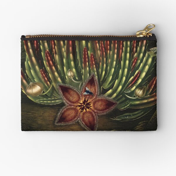 Item preview, Vintage Flora Illustration Maggot–Bearing Stapelia designed and sold by InnerCitadel.
