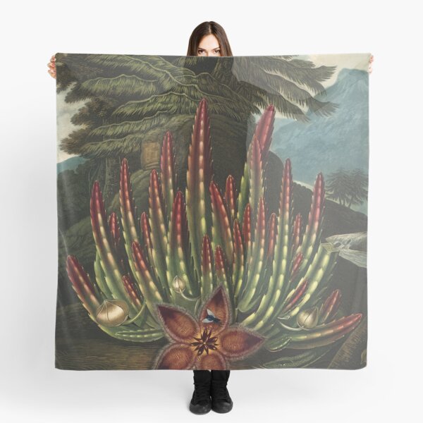 Item preview, Vintage Flora Illustration Maggot–Bearing Stapelia designed and sold by InnerCitadel.