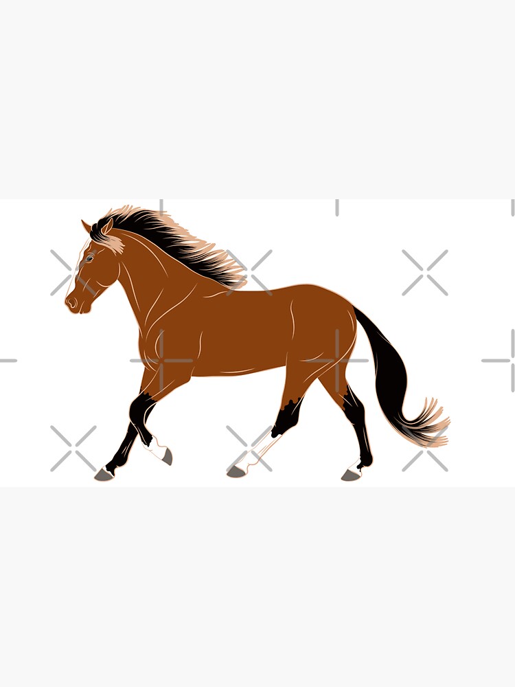 Aperçu 6 sur 6. Bob avec l'œuvre Cheval Barbe, dessin cheval bai, cheval de selle, races de chevaux du Maroc créée et vendue par WebEquitation.