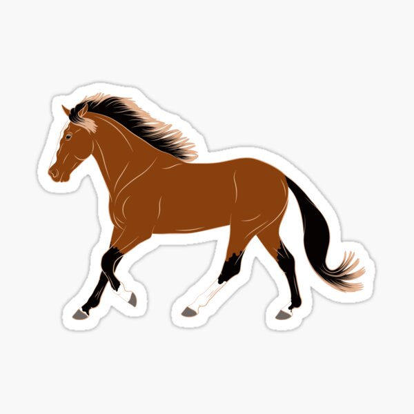 Aperçu de l'œuvre Cheval Barbe, dessin cheval bai, cheval de selle, races de chevaux du Maroc créée et vendue par WebEquitation®.