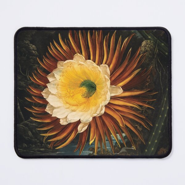Item preview, The Night-Flowering Cactus Botanical Painting designed and sold by InnerCitadel.