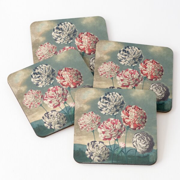 Item preview, Vintage Botanical Painting A Group of Carnations by Robert John Thornton designed and sold by InnerCitadel.