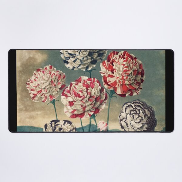 Item preview, Vintage Botanical Painting A Group of Carnations by Robert John Thornton designed and sold by InnerCitadel.