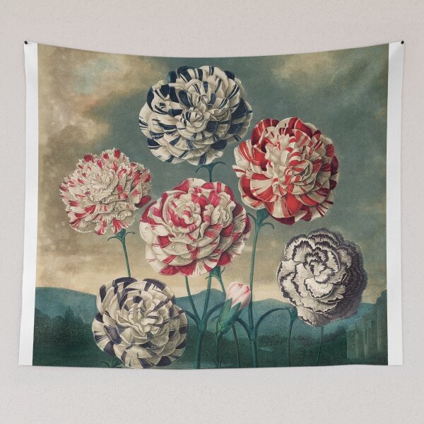 Item preview, Vintage Botanical Painting A Group of Carnations by Robert John Thornton designed and sold by InnerCitadel.