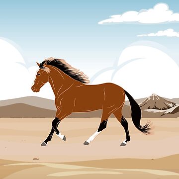 Aperçu de l'œuvre Cheval Barbe, cheval bai sur un fond de paysage, cheval de selle, races de chevaux du Maroc de WebEquitation®