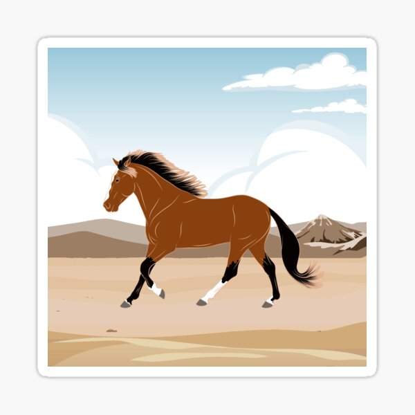 Aperçu de l'œuvre Cheval Barbe, cheval bai sur un fond de paysage, cheval de selle, races de chevaux du Maroc créée et vendue par WebEquitation®.