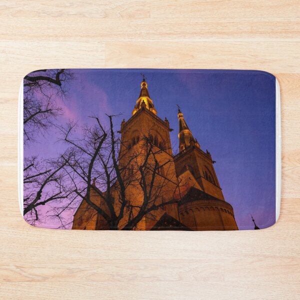 Item preview, Beautiful Cathedral Collégiale de Neuchatel and Bare Tree Against Sky in Dusk  designed and sold by Mats Silvan.
