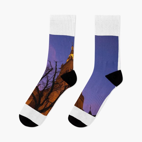 Item preview, Beautiful Cathedral Collégiale de Neuchatel and Bare Tree Against Sky in Dusk  designed and sold by Mats Silvan.