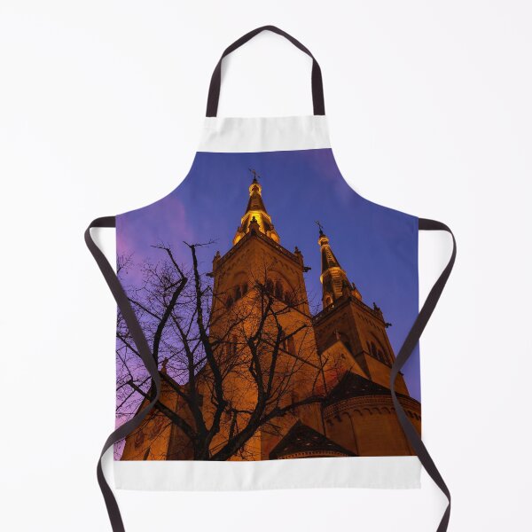 Item preview, Beautiful Cathedral Collégiale de Neuchatel and Bare Tree Against Sky in Dusk designed and sold by Mats Silvan.