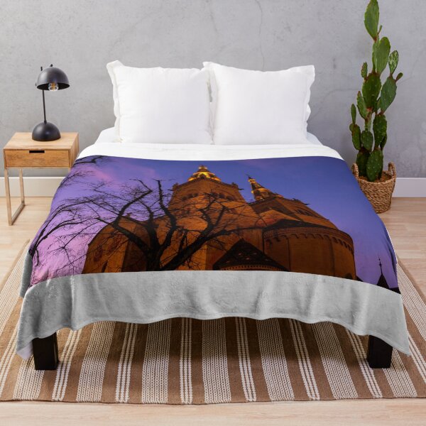 Item preview, Beautiful Cathedral Collégiale de Neuchatel and Bare Tree Against Sky in Dusk designed and sold by Mats Silvan.