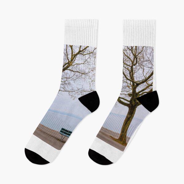 Item preview, Waterfront with Bare Tree and Bench on Lake Neuchatel designed and sold by Mats Silvan.