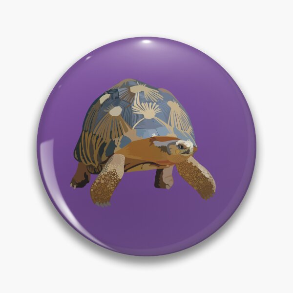Item preview, R is for Radiated Tortoise ,Radiated Tortoise – Madagascar Reptile Wildlife Illustration designed and sold by PrettylittlepastelUk.