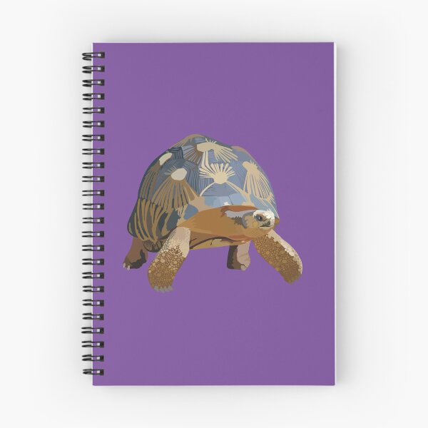 Item preview, R is for Radiated Tortoise ,Radiated Tortoise – Madagascar Reptile Wildlife Illustration designed and sold by PrettylittlepastelUk.
