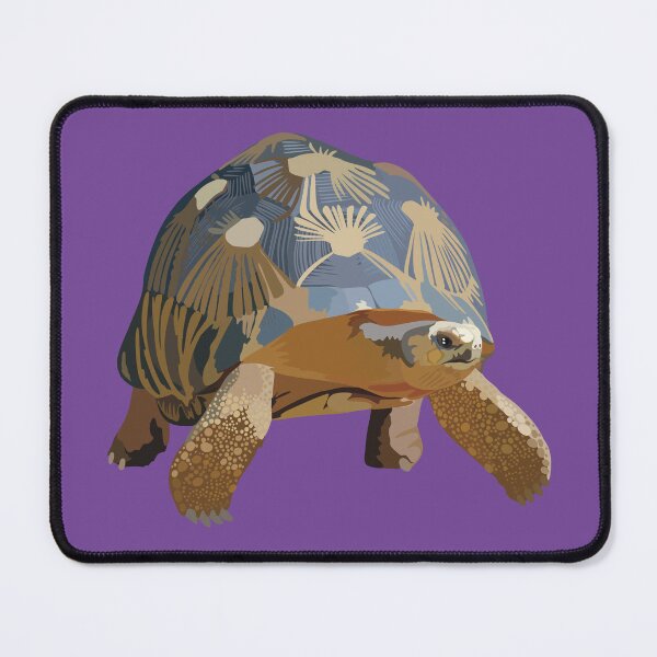 Item preview, R is for Radiated Tortoise ,Radiated Tortoise – Madagascar Reptile Wildlife Illustration designed and sold by PrettylittlepastelUk.