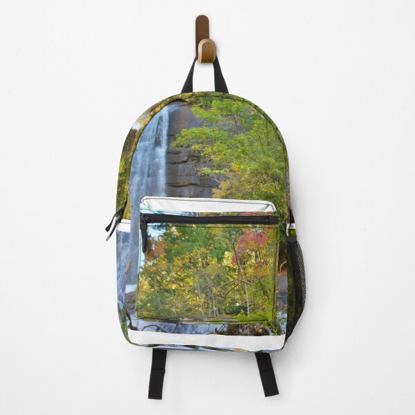 Item preview, Eastatoe Falls/Twin Falls In Autumn designed and sold by LisaWootenPhoto.