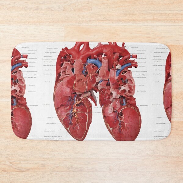 Item preview, Anatomy of the Heart designed and sold by Sadia  Jannat.