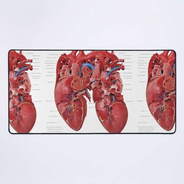 Item preview, Anatomy of the Heart designed and sold by Sadia Jannat.