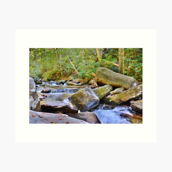Item preview, Reedy Cove Creek At EastatoeTwin Falls North Carolina designed and sold by LisaWootenPhoto.