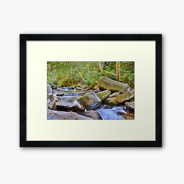 Item preview, Reedy Cove Creek At EastatoeTwin Falls North Carolina designed and sold by LisaWootenPhoto.