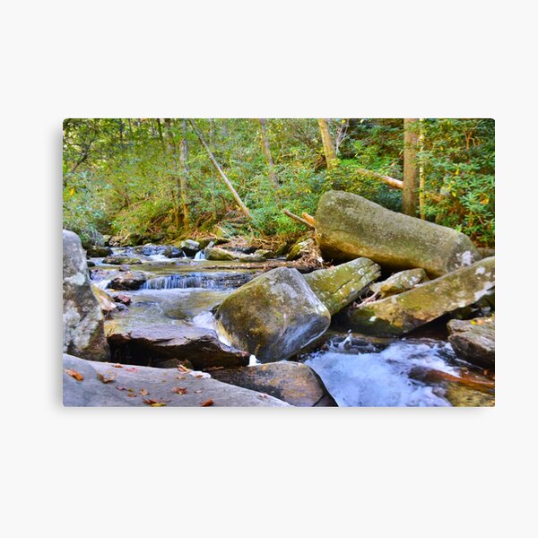 Item preview, Reedy Cove Creek At EastatoeTwin Falls North Carolina designed and sold by LisaWootenPhoto.