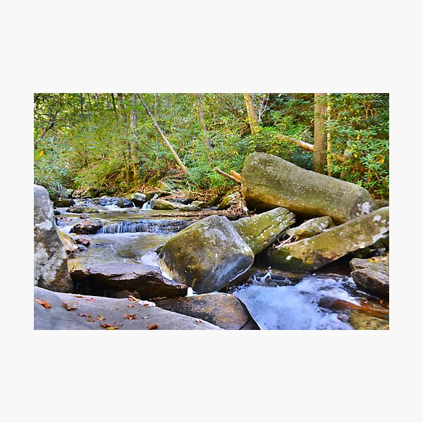 Item preview, Reedy Cove Creek At EastatoeTwin Falls North Carolina designed and sold by LisaWootenPhoto.