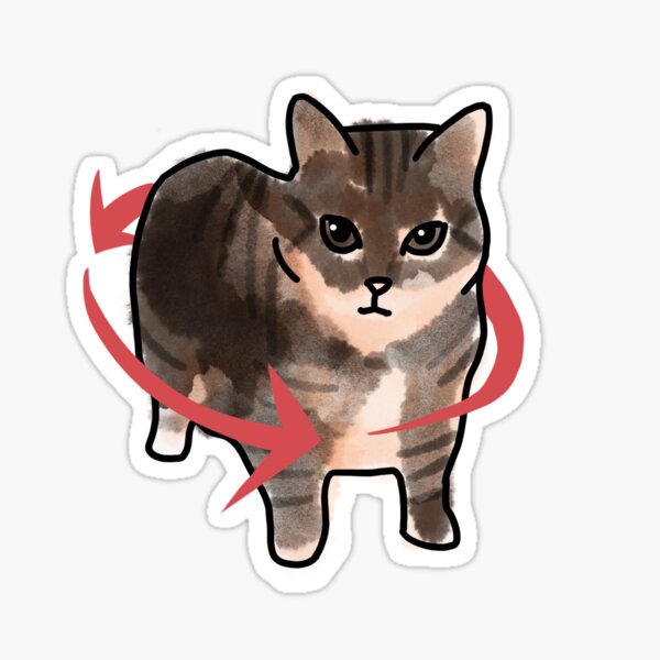 Artikel-Vorschau von O I I Eine Katze mit rotierenden Pfeilen, designt und verkauft von Julidelphia.