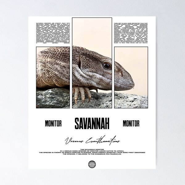 Item preview, Savannah Monitor Modern Streetwear Reptile Keeper designed and sold by JRRTs.
