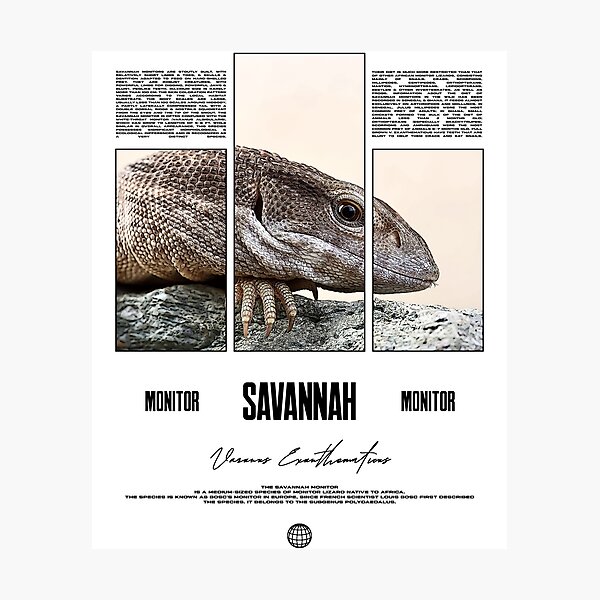 Item preview, Savannah Monitor Modern Streetwear Reptile Keeper designed and sold by JRRTs.